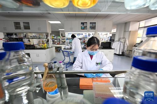 我在崗位上迎新年 企業(yè)技術(shù)咨詢(xún)服務(wù)的堅(jiān)守與展望